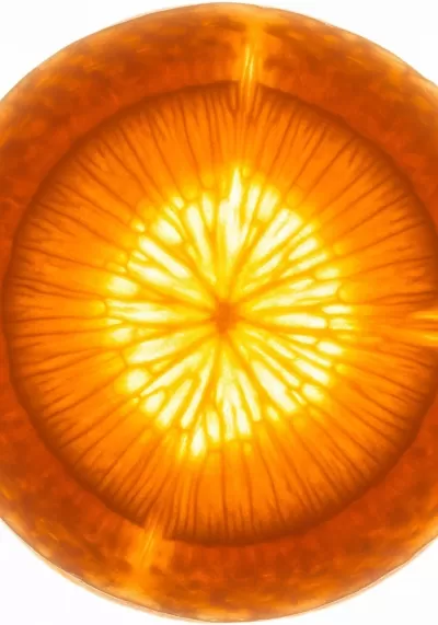 Imagen PNG para descargar